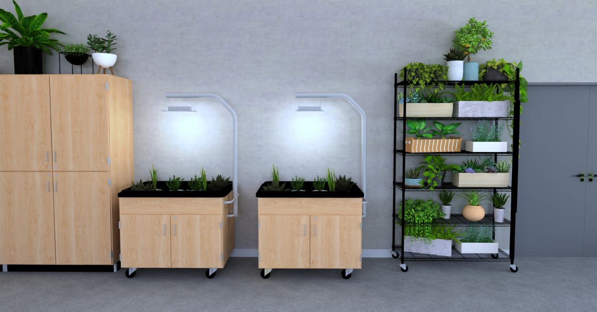 hydroponic growing system and sprout plant growing stand in a steam classroom